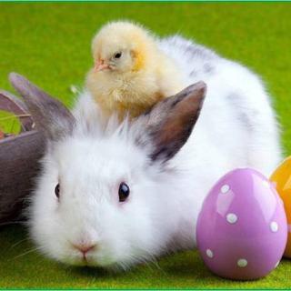 Veľkonočné prianie 